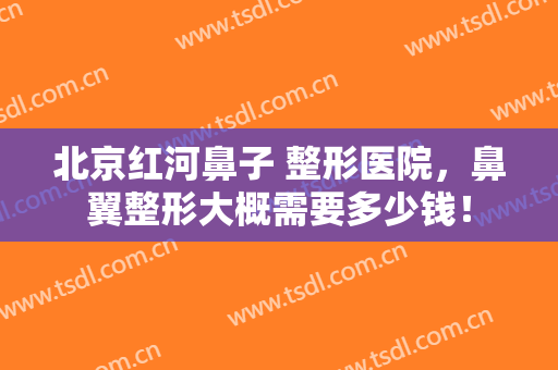 北京红河鼻子 整形医院，鼻翼整形大概需要多少钱！