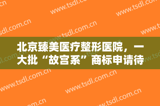 北京臻美医疗整形医院，一大批“故宫系”商标申请待审！