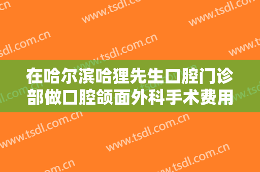 在哈尔滨哈狸先生口腔门诊部做口腔颌面外科手术费用多少钱啊？