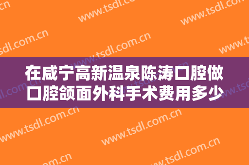 在咸宁高新温泉陈涛口腔做口腔颌面外科手术费用多少钱啊？
