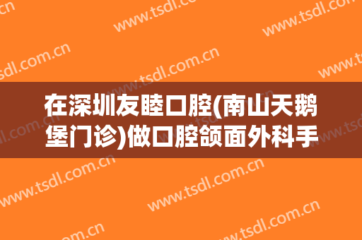 在深圳友睦口腔(南山天鹅堡门诊)做口腔颌面外科手术费用多少钱啊？