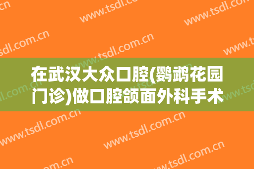在武汉大众口腔(鹦鹉花园门诊)做口腔颌面外科手术费用多少钱啊？