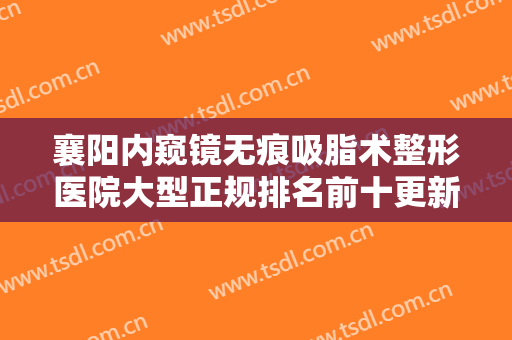 襄阳内窥镜无痕吸脂术整形医院大型正规排名前十更新大盘点！襄阳臻颜怡美医疗美容门诊部锁定前三，赢麻了！