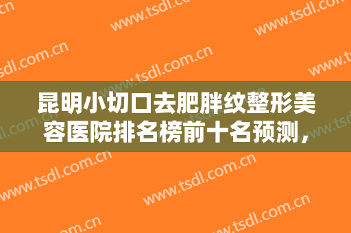 昆明小切口去肥胖纹整形美容医院排名榜前十名预测，昆明婉鸿东芳丽人医疗美容口碑靠谱