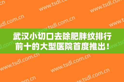 武汉小切口去除肥胖纹排行前十的大型医院首度推出！武汉江城整形外科医院点赞推荐！