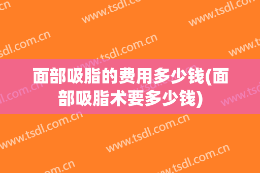面部吸脂的费用多少钱(面部吸脂术要多少钱)