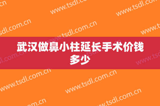 武汉做鼻小柱延长手术价钱多少