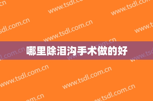 哪里除泪沟手术做的好
