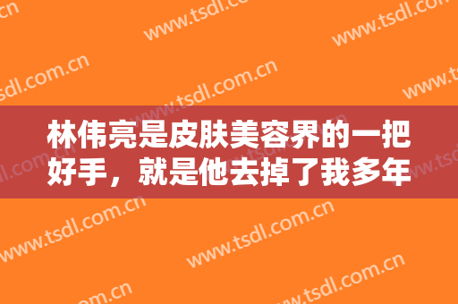 林伟亮是皮肤美容界的一把好手，就是他去掉了我多年的痘坑