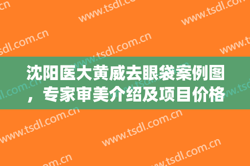 沈阳医大黄威去眼袋案例图，专家审美介绍及项目价格（费用）(沈阳黄威双眼皮案例)