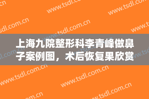 上海九院整形科李青峰做鼻子案例图，术后恢复果欣赏(上海九院李青峰做鼻子怎么样)