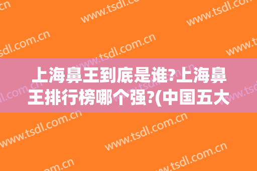 上海鼻王到底是谁?上海鼻王排行榜哪个强?(中国五大鼻王)