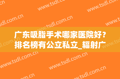 广东吸脂手术哪家医院好？排名榜有公立私立_辐射广州深圳等_案例和价格全览！