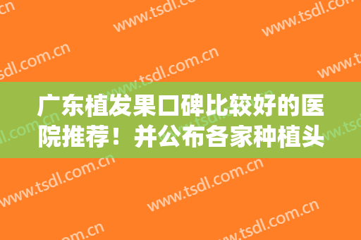 广东植发果口碑比较好的医院推荐！并公布各家种植头发价格价目表(广东种植头发哪家医院比较好?)