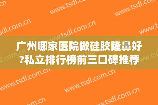 广州哪家医院做硅胶隆鼻好?私立排行榜前三口碑推荐！(硅胶隆鼻哪个医院好)