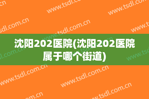 沈阳202医院(沈阳202医院属于哪个街道)
