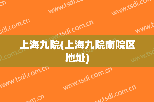 上海九院(上海九院南院区地址)