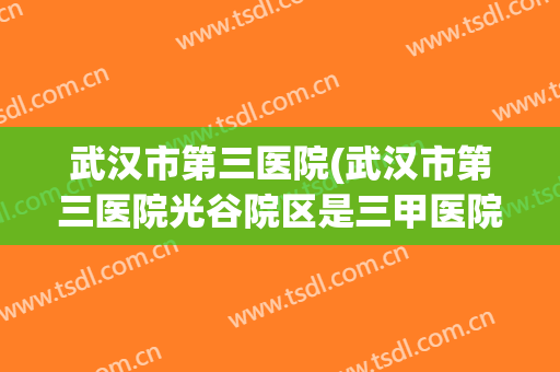 武汉市第三医院(武汉市第三医院光谷院区是三甲医院吗)