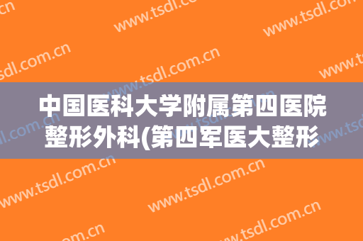 中国医科大学附属第四医院整形外科(第四军医大整形外科)