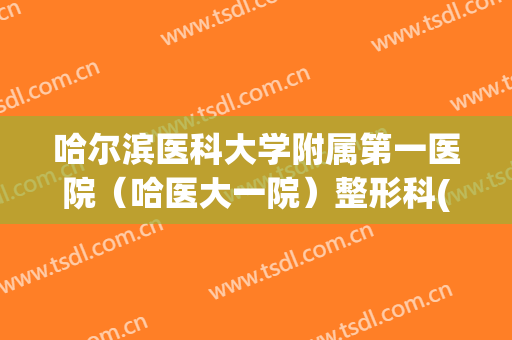 哈尔滨医科大学附属第一医院（哈医大一院）整形科(哈尔滨医科大学附属第一医院整容)