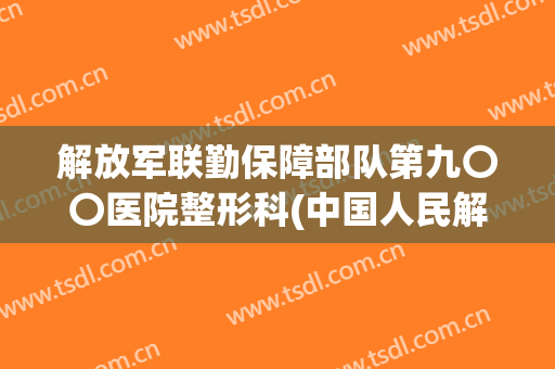 解放军联勤保障部队第九〇〇医院整形科(中国人民解放军联勤保障部队第九医院)