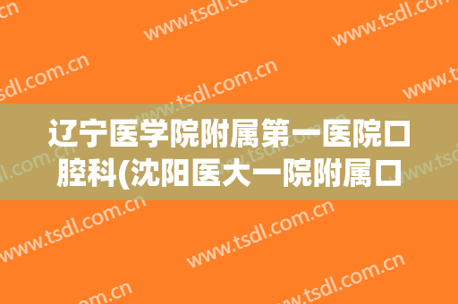 辽宁医学院附属第一医院口腔科(沈阳医大一院附属口腔医院)