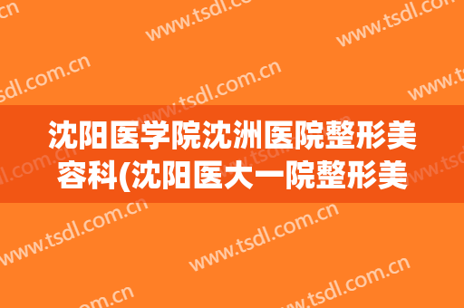 沈阳医学院沈洲医院整形美容科(沈阳医大一院整形美容科)