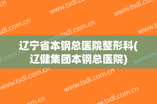 辽宁省本钢总医院整形科(辽健集团本钢总医院)