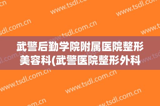武警后勤学院附属医院整形美容科(武警医院整形外科)