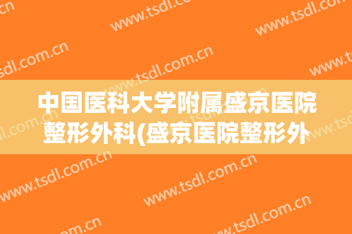 中国医科大学附属盛京医院整形外科(盛京医院整形外科主任)