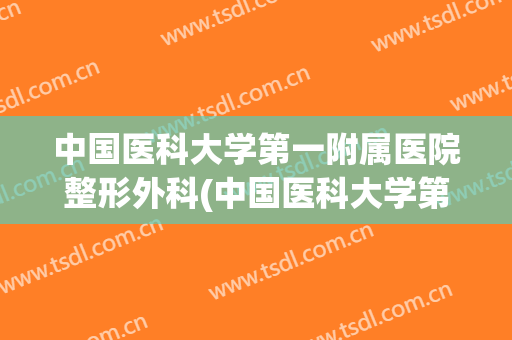 中国医科大学第一附属医院整形外科(中国医科大学第一附属医院整形外科共有多少大夫?)