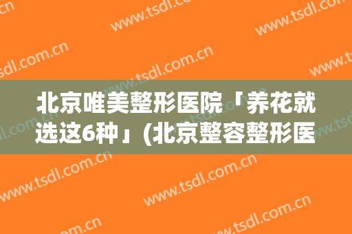 北京唯美整形医院「养花就选这6种」(北京整容整形医院哪个好)