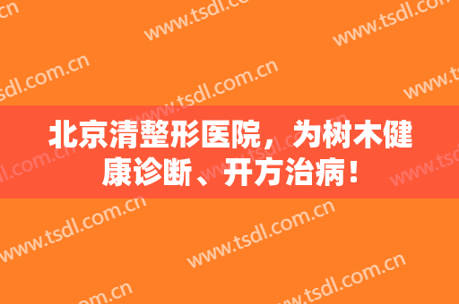 北京清整形医院，为树木健康诊断、开方治病！