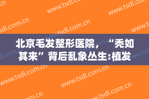 北京毛发整形医院，“秃如其来”背后乱象丛生:植发价格动辄数万元！(北京 植发)