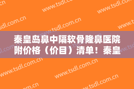 秦皇岛鼻中隔软骨隆鼻医院附价格（价目）清单！秦皇岛叶舟医疗美容诊所招牌案例出炉