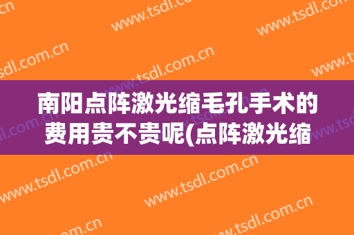 南阳点阵激光缩毛孔手术的费用贵不贵呢(点阵激光缩毛孔一次有用吗)