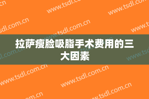 拉萨瘦脸吸脂手术费用的三大因素