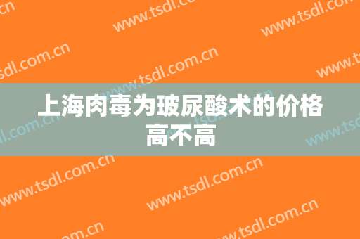 上海肉毒为玻尿酸术的价格高不高