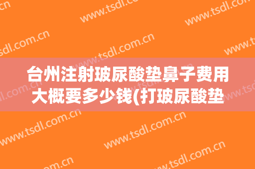 台州注射玻尿酸垫鼻子费用大概要多少钱(打玻尿酸垫鼻子的危害)