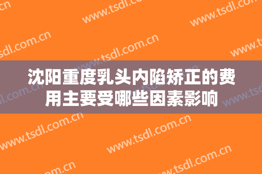 沈阳重度乳头内陷矫正的费用主要受哪些因素影响