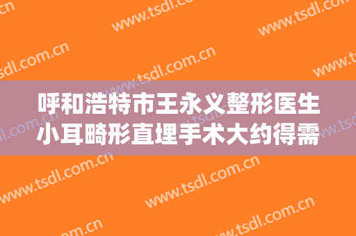 呼和浩特市王永义整形医生小耳畸形直埋手术大约得需多少钱(国内整小耳畸形的名医)