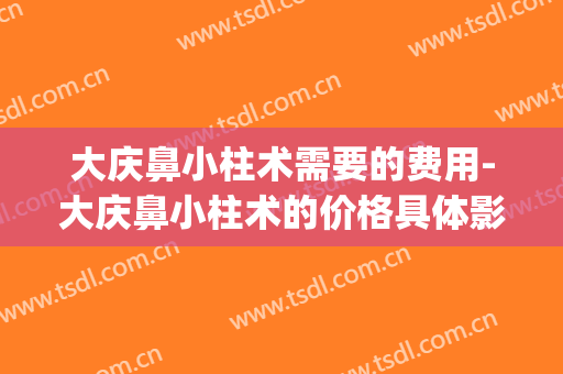 大庆鼻小柱术需要的费用-大庆鼻小柱术的价格具体影响因素(做个鼻小柱要多少钱)