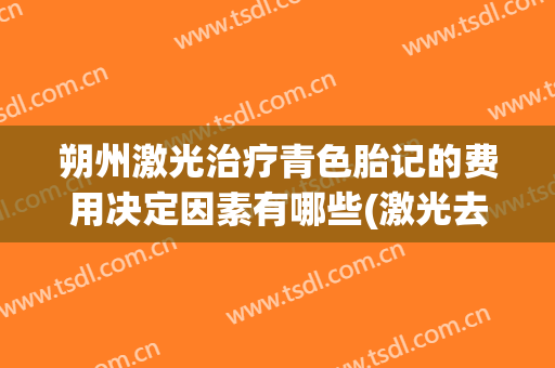 朔州激光治疗青色胎记的费用决定因素有哪些(激光去青色胎记)