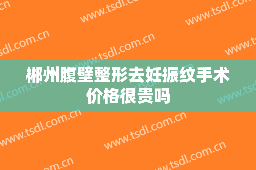 郴州腹壁整形去妊振纹手术价格很贵吗