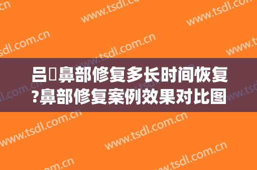吕璘鼻部修复多长时间恢复?鼻部修复案例效果对比图_上海交通大学医学院附属第九人民医院