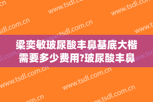 梁奕敏玻尿酸丰鼻基底大楷需要多少费用?玻尿酸丰鼻基底案例效果对比图_上海交通大学医学院附属第九人民医院