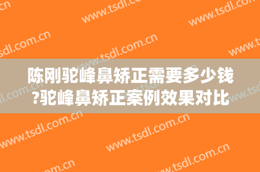 陈刚驼峰鼻矫正需要多少钱?驼峰鼻矫正案例效果对比图_上海交通大学医学院附属第九人民医院