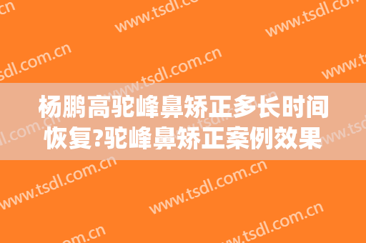 杨鹏高驼峰鼻矫正多长时间恢复?驼峰鼻矫正案例效果对比图_上海交通大学医学院附属第九人民医院北部院区