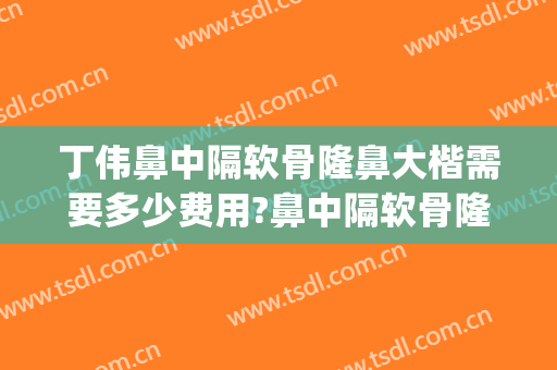 丁伟鼻中隔软骨隆鼻大楷需要多少费用?鼻中隔软骨隆鼻案例效果对比图_上海交通大学医学院附属第九人民医院