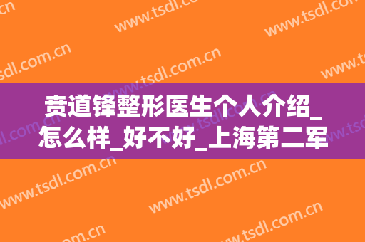 贲道锋整形医生个人介绍_怎么样_好不好_上海第二军医大学附属长海医院整形外科